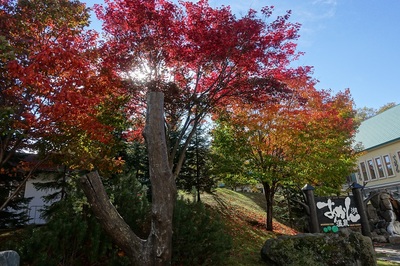 雨から秋晴れの紅葉阿寒湖