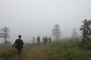 雲の中の白湯山展望台