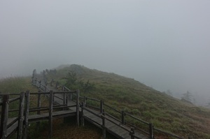 雲の中の白湯山展望台