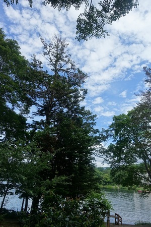 久しぶりに青空の阿寒湖