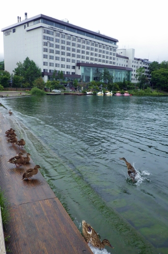 阿寒湖へカモーん！