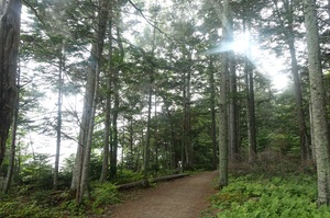 朝靄の阿寒湖