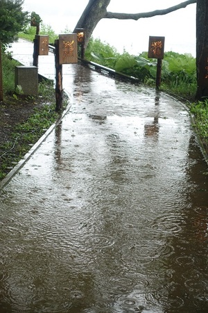 時々雨の連休