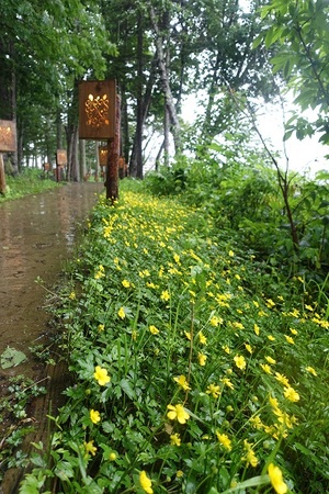 時々雨の連休