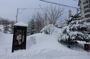 阿寒湖氷上フェスティバル最終日