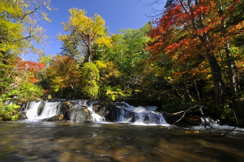 「光の森」と「湖北の森」