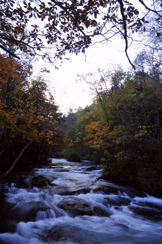 阿寒川と滝見橋の紅葉