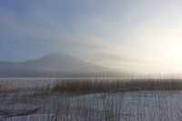 暖かい？氷点下１０℃の朝