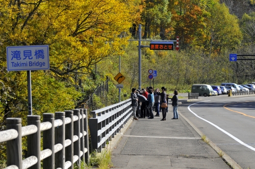 紅葉ピークの阿寒川と滝見橋