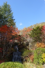 舌川原庭園の紅葉