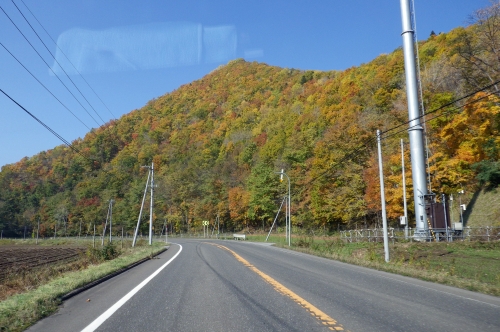 津別町　西洋軒で昔風カレー