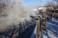 川湯温泉の霧氷