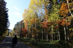 高揚紅葉阿寒湖