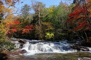 紅葉の乙女の滝