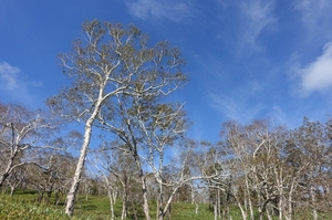 快晴の鶴見峠