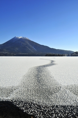 今年も気になるフロストフラワー