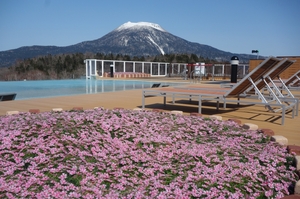 春のガーデンスパと水芭蕉