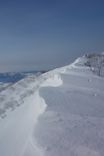 藻琴山樹氷散歩