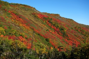 赤岳紅葉