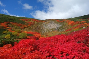 赤岳紅葉