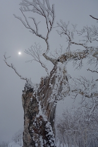 摩周湖外輪樹氷散歩