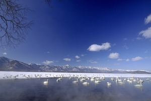 白鳥の湖屈斜路湖へ前編