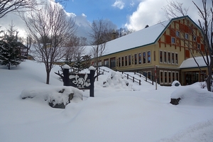 久しぶりの雪