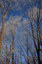 氷点下２１℃の朝