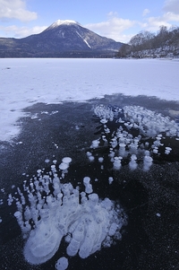 奇跡の氷アート