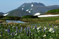 夏の大雪山縦走します２０１５後編