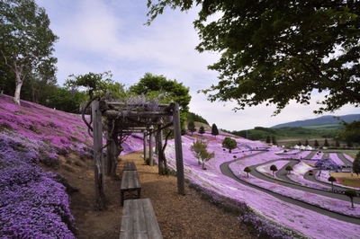 ひがしもこと芝桜公園