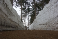 雪・劇・花