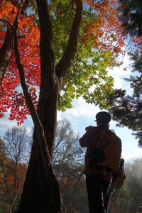 ブラボー！紅葉阿寒川