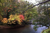 滝見橋・阿寒川紅葉情報２０１４