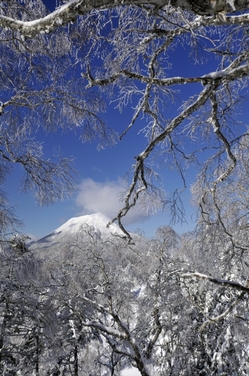 樹氷のそうがく台へ