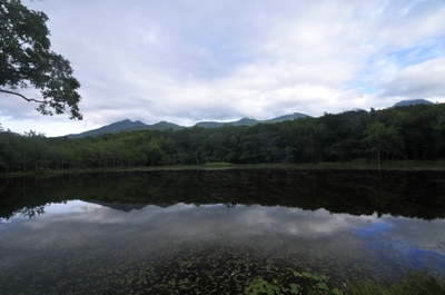 世界自然遺産知床五湖めぐり