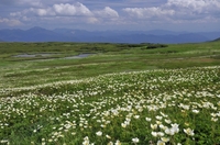 夏の大雪山縦走中編