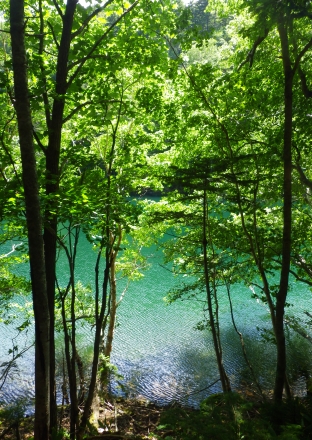 静かな湖畔へ到る道