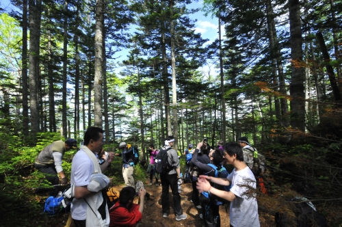 第２９回雄阿寒岳山開き登山会