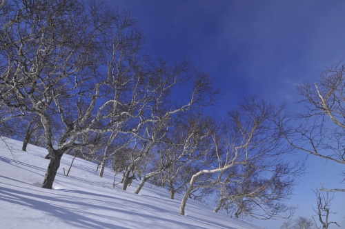 冬の大雪山黒岳