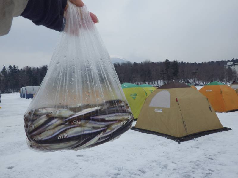 阿寒湖氷上あいすランド阿寒ＯＰＥＮ