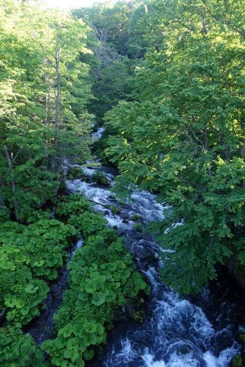 阿寒滝見橋