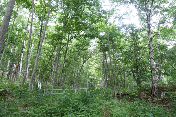 古の道「網走山道」