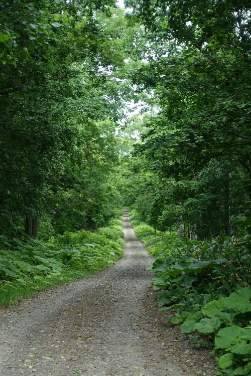 古の道「網走山道」