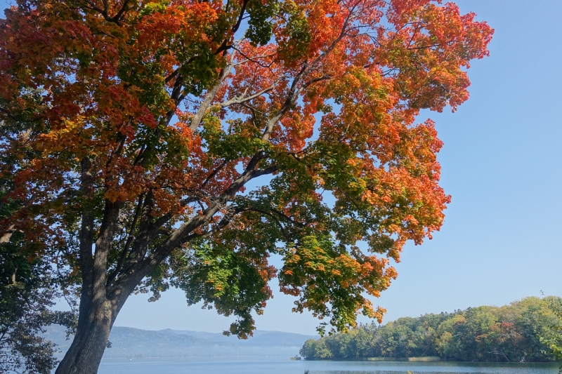 朝靄と紅葉の阿寒湖