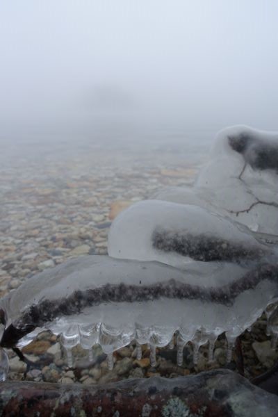 氷点下の朝はもやもや