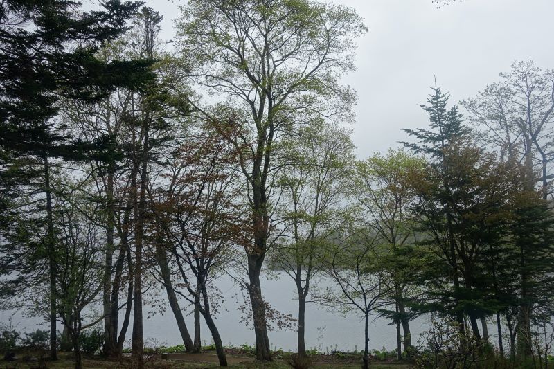 雨の阿寒湖