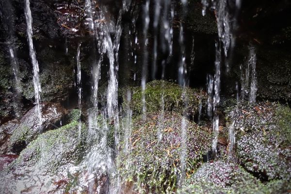 「　ミズコム　～水と暮らす～　」でご紹介いただきました