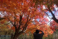 舌川原庭園の紅葉