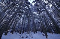 冬も雌阿寒岳と雄阿寒岳